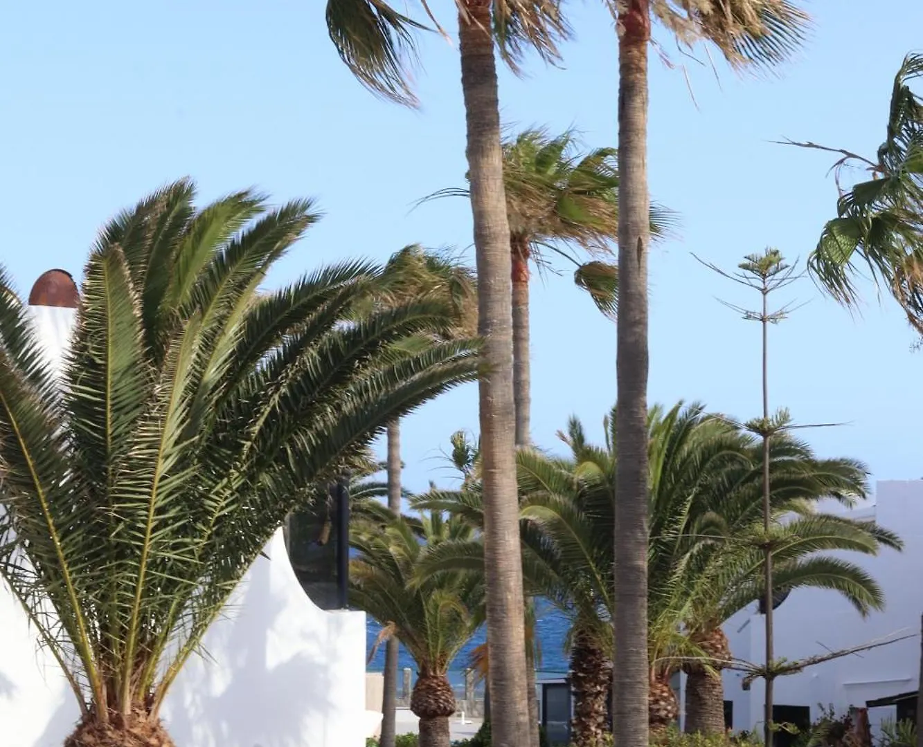 Appartamento Apartamento Vista Parcial Mar En Tenerife Sur Costa Del Silencio Spagna